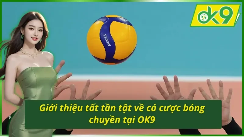 Cá Cược Bóng Chuyền - Hình Thức Giải Trí Hot Nhất OK9 Năm 2026 2 Giới thiệu tất tần tật về cá cược bóng chuyền OK9
