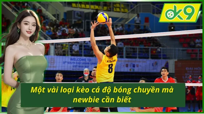 Cá Cược Bóng Chuyền - Hình Thức Giải Trí Hot Nhất OK9 Năm 2026 3 Một vài loại kèo cá cược bóng chuyền OK9 hot nhất 2026