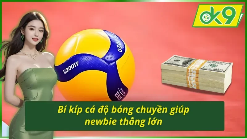 Cá Cược Bóng Chuyền - Hình Thức Giải Trí Hot Nhất OK9 Năm 2026 6 Bí kíp cá cược bóng chuyền OK9 giúp newbie thắng lớn