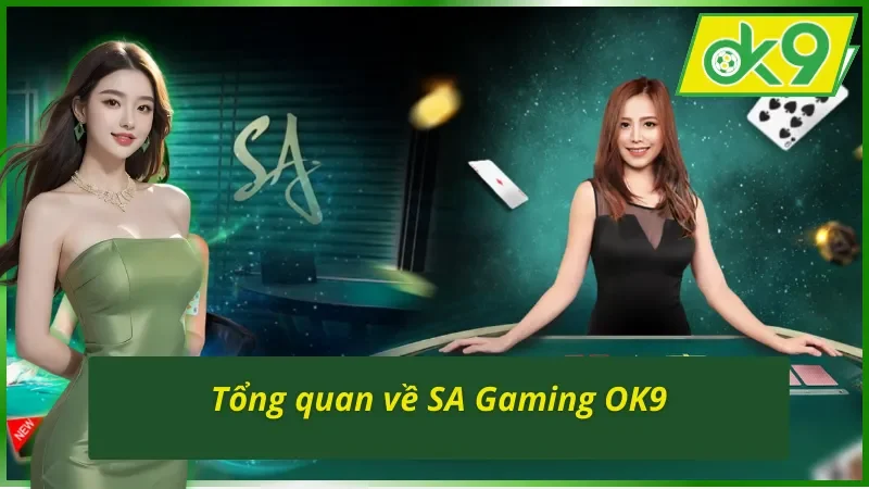 Những thông tin tổng quan về sảnh SA Gaming OK9